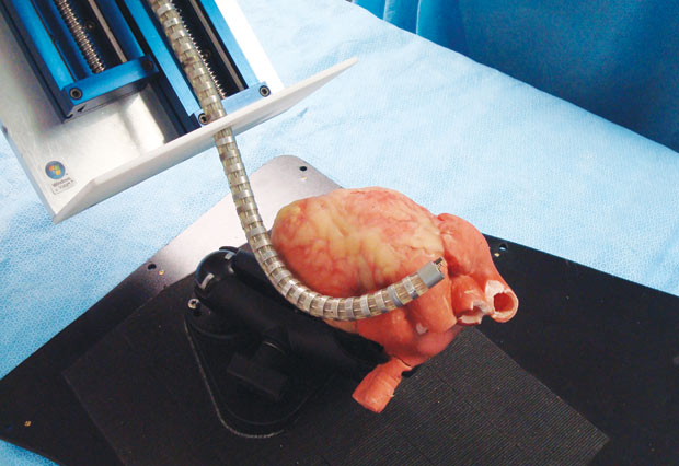 Snake Robot Heart Procedures