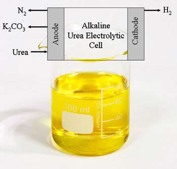 Urine Fuel Cell