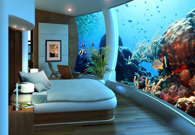 Sleep With The Fishes In The World S Best Underwater Hotels