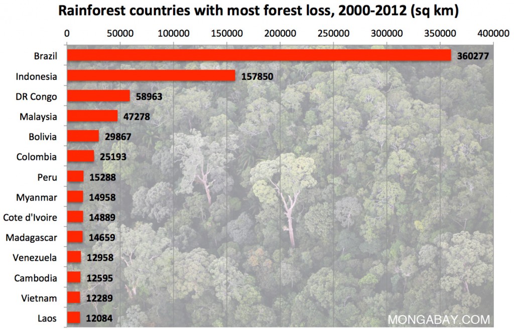 rainforest-countries-with-most-deforestation