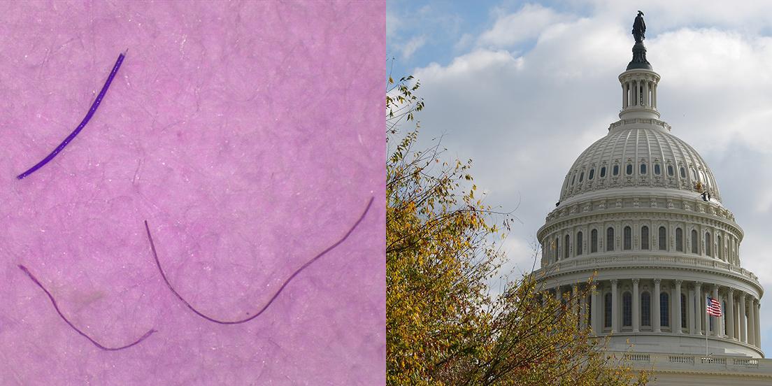 Plastic fibers from water in Washington, D.C.