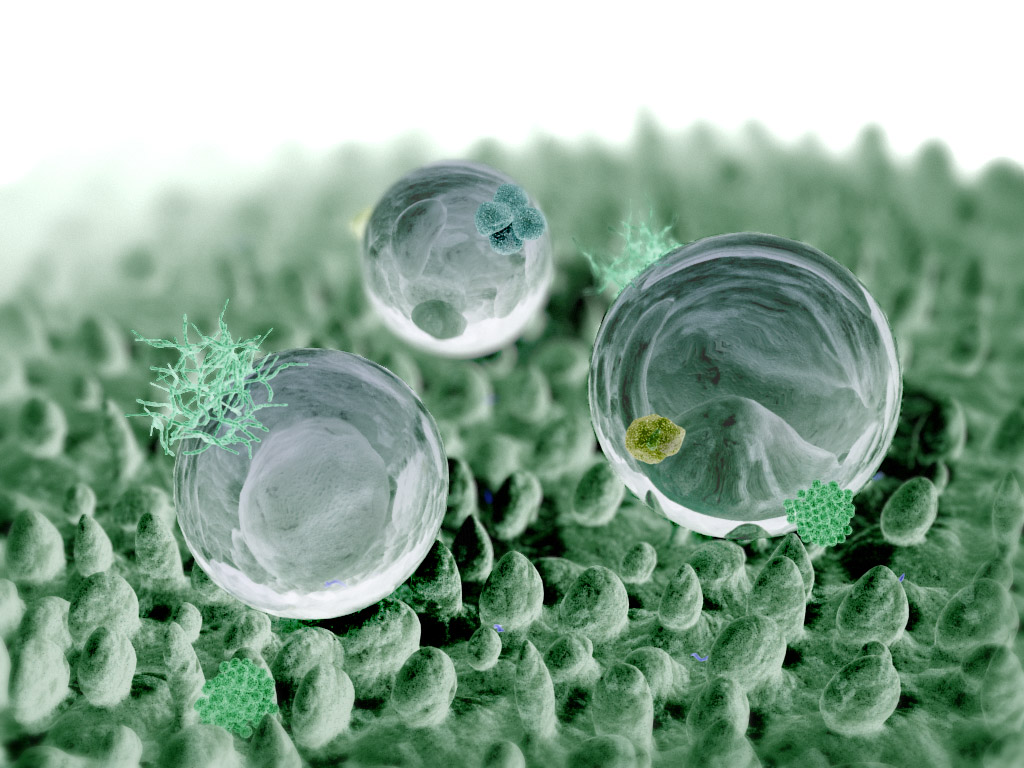 Solar Cell Research “Births” New Field Of Nanobionics