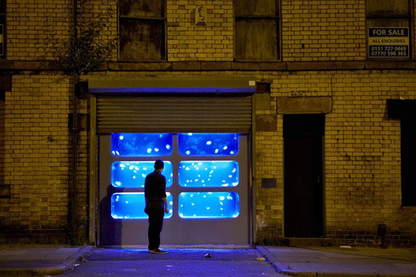 A Warehouse Full of Jellyfish as Art? See It to Believe It.