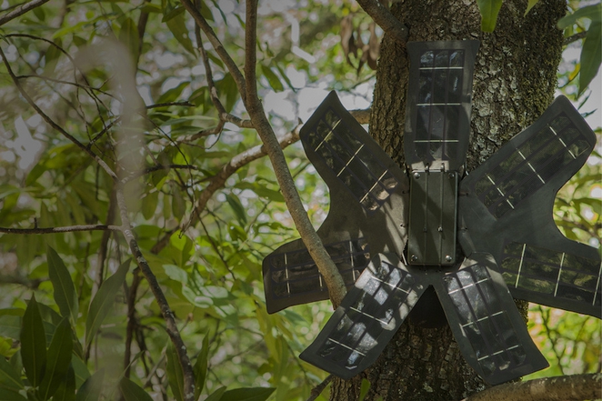 Old Smartphones Get New Life as Rainforest Guardians