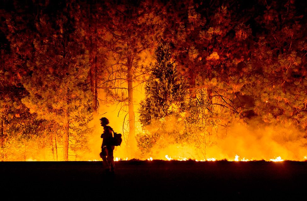 Climate Change & Wild Fires: Are They Connected?