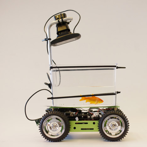 Self-Driving Vehicle Easy Enough for a Fish