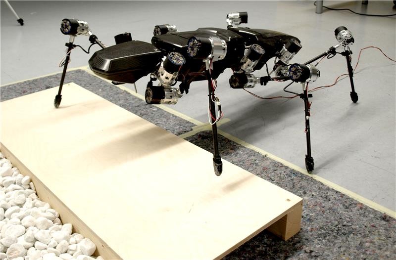 Hector: A Creepy Stick Bug Robot That Can Easily Maneuver Through All Types Of Terrain