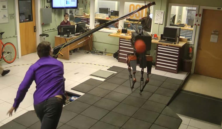 Oregon State Engineers Perform Dodgeball Balance Test on Their ATRIAS Robot