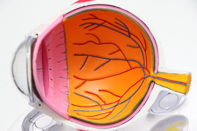 Scientist Claims Bionic Lens Can Boost Your Sight to Approximately Three Times 20/20 Vision!