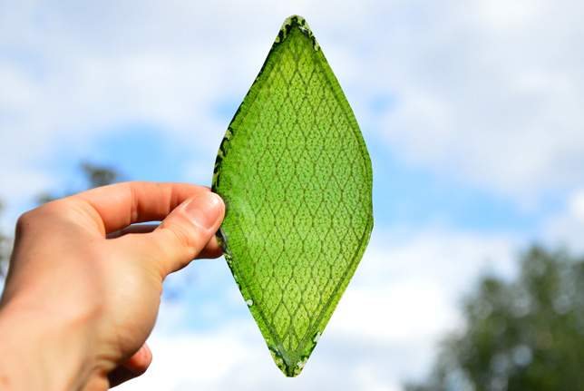 Man-made Leaf Produces Oxygen to Help Astronauts Breathe