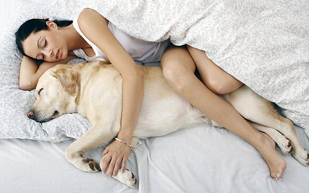 Mayo Clinic Study Suggests Letting Your Pet Share Your Bed Results in a Good Night’s Sleep!