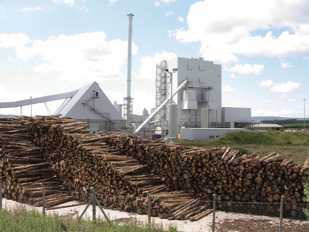 Tapping Virtually Inexhaustible Biomass Power