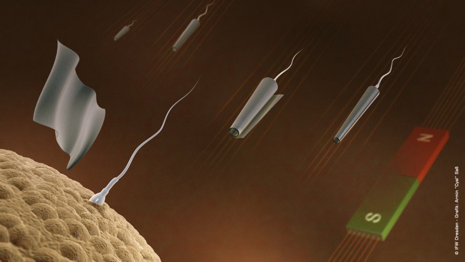 Spermbots Hijack Sperm for Guaranteed Delivery