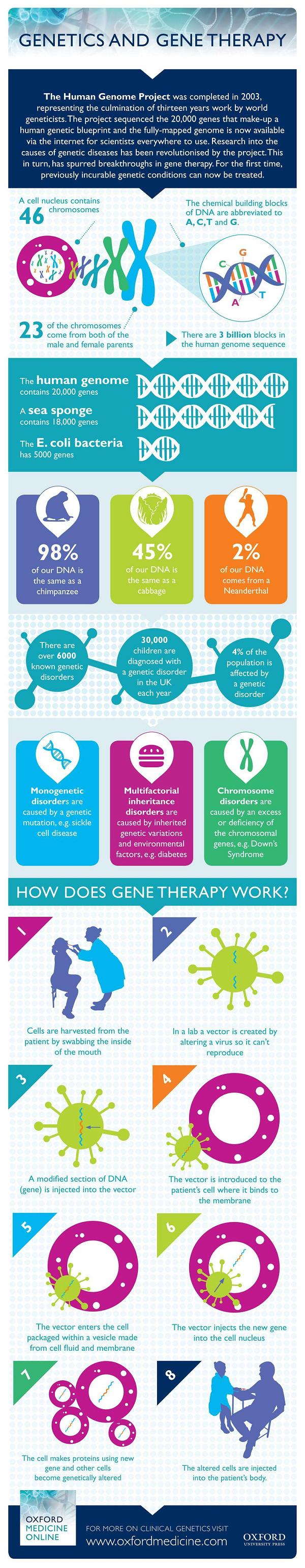 Genetics Infographic