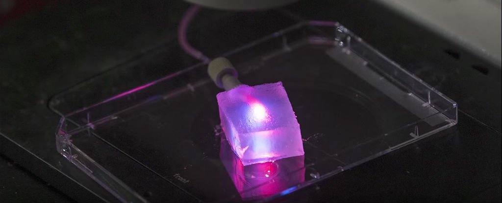 Cotton Candy Machines May Hold Key for Making Artificial Capillaries