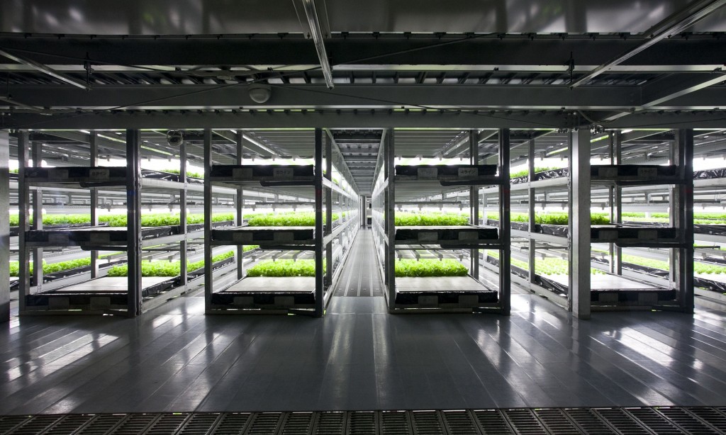 World’s First Robotic Vegetable Factory Opening in Japan in 2017
