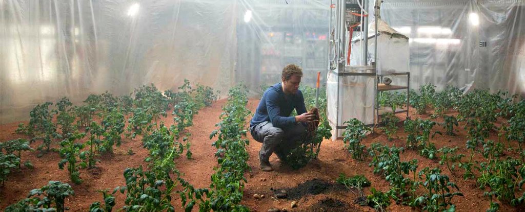 Tomatoes, Rye and 8 More Food Crops Grown Successfully in Mars-Equivalent Soil Ahead of Mars One Mission