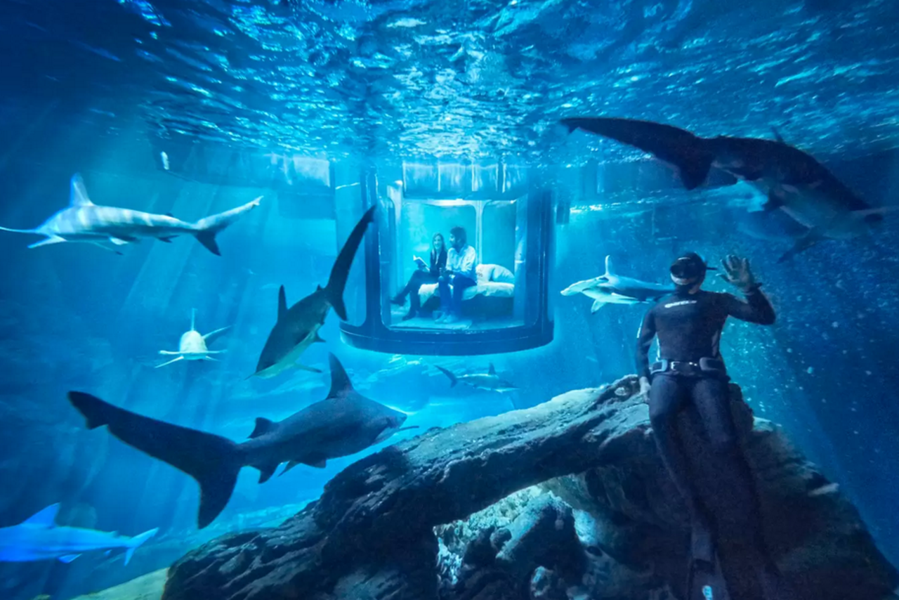Enter to Win a One-Night Stay in Airbnb’s Underwater Room Surrounded by Sharks