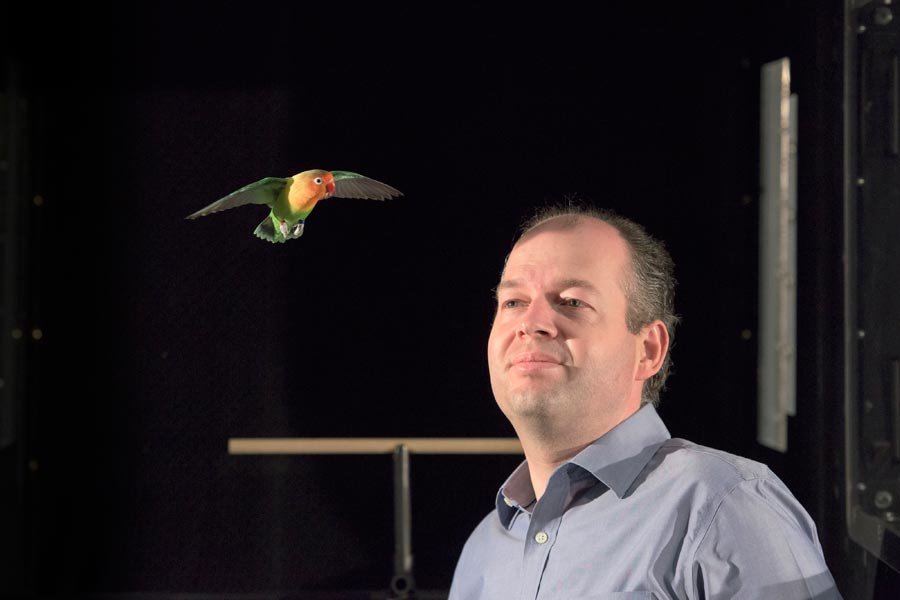 Stanford’s New Wind Tunnel Helps Study Birds in the Name Of Drones