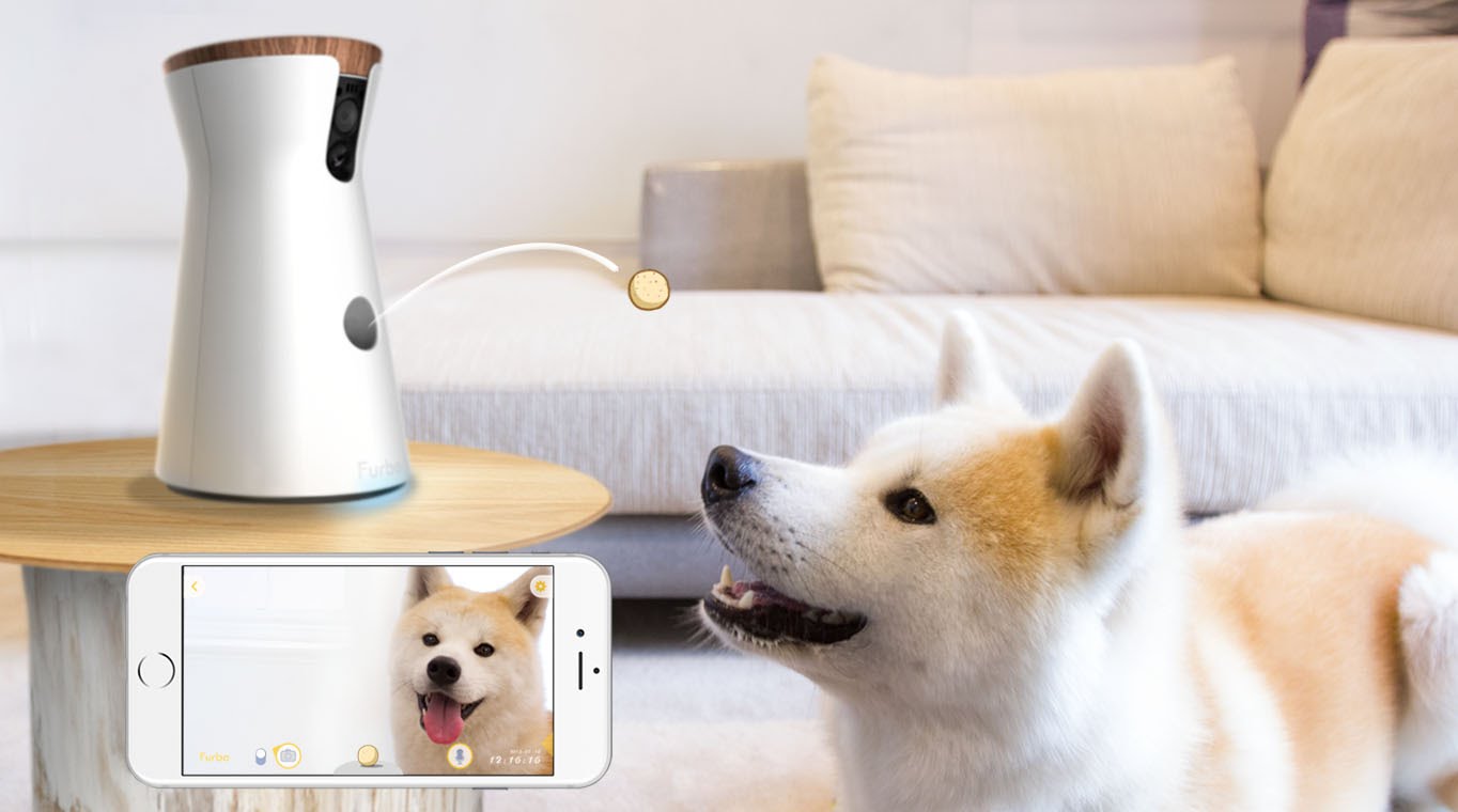 The Furbo Lets You Spy on Your Dogs and Throw Them Treats While You’re Away