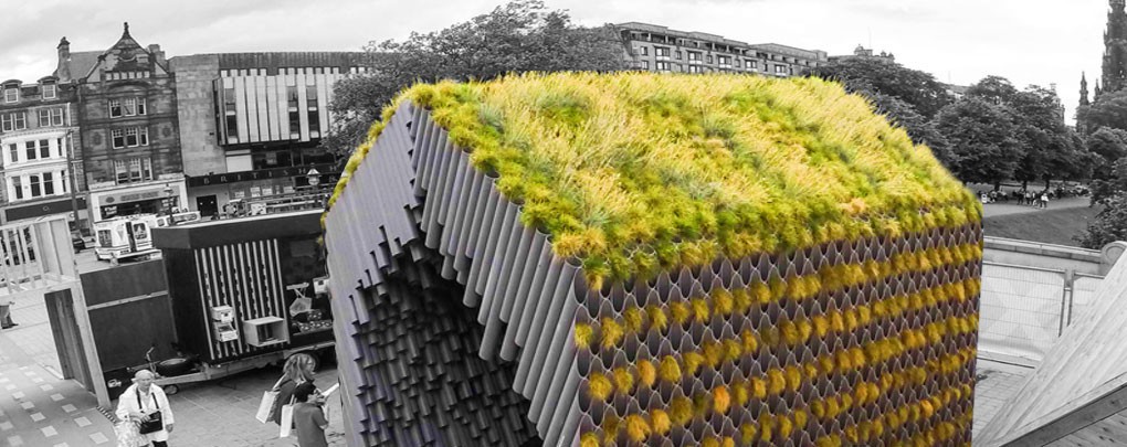 Ørken at forstå hybrid This Pop-Up Rainwater Pavilion in Edinburgh Portrays Smart Water Management  and Climate Adaptation - Industry Tap
