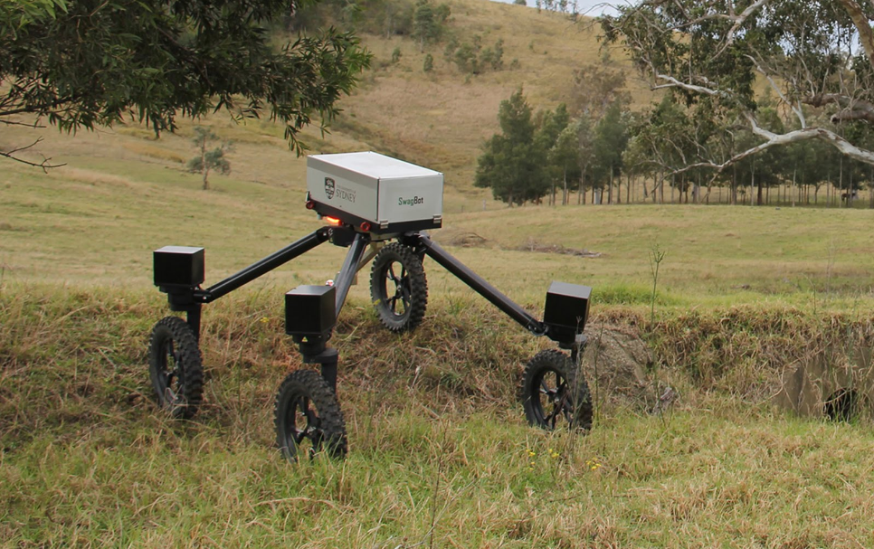 SwagBot is Being Called the ‘First Robot Cowboy’ as It is Designed to Herd Cattle