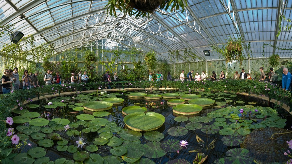Kew Gardens: Biosequestration and Agricultural Waste Management