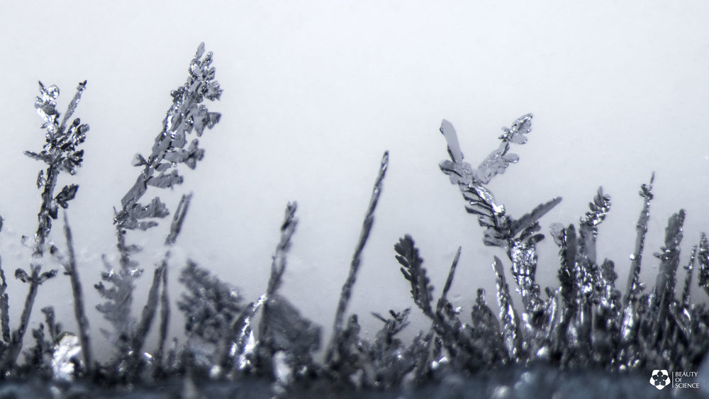 Short Film Reveals How Heavy Metals Resemble Crystal Kingdoms Under a Microscope