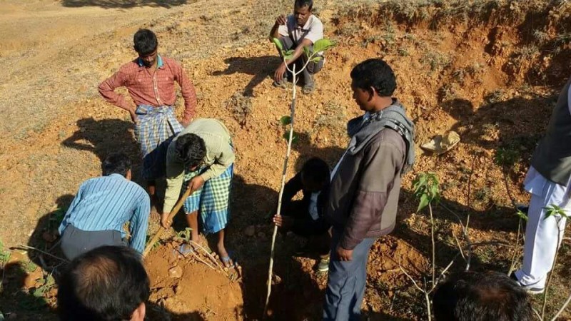 A School in India Has Asked Parents to Plant Trees Instead of Paying Fees