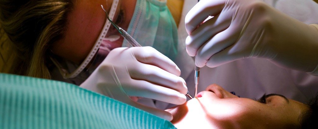 End of Fillings in Sight as Scientists Have Found a Drug That Regenerates Teeth
