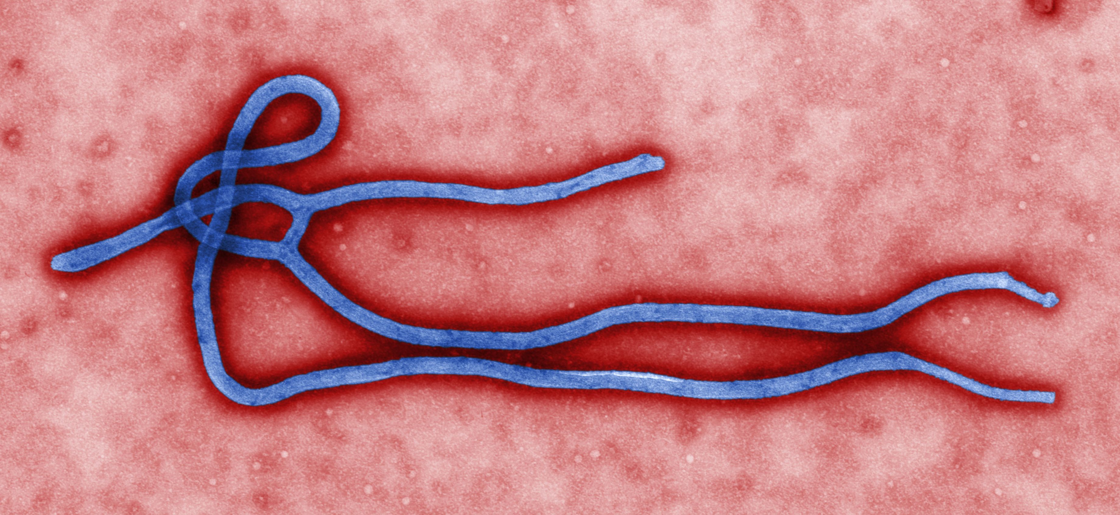 New Ebola Vaccine is Up to 100 Percent Effective