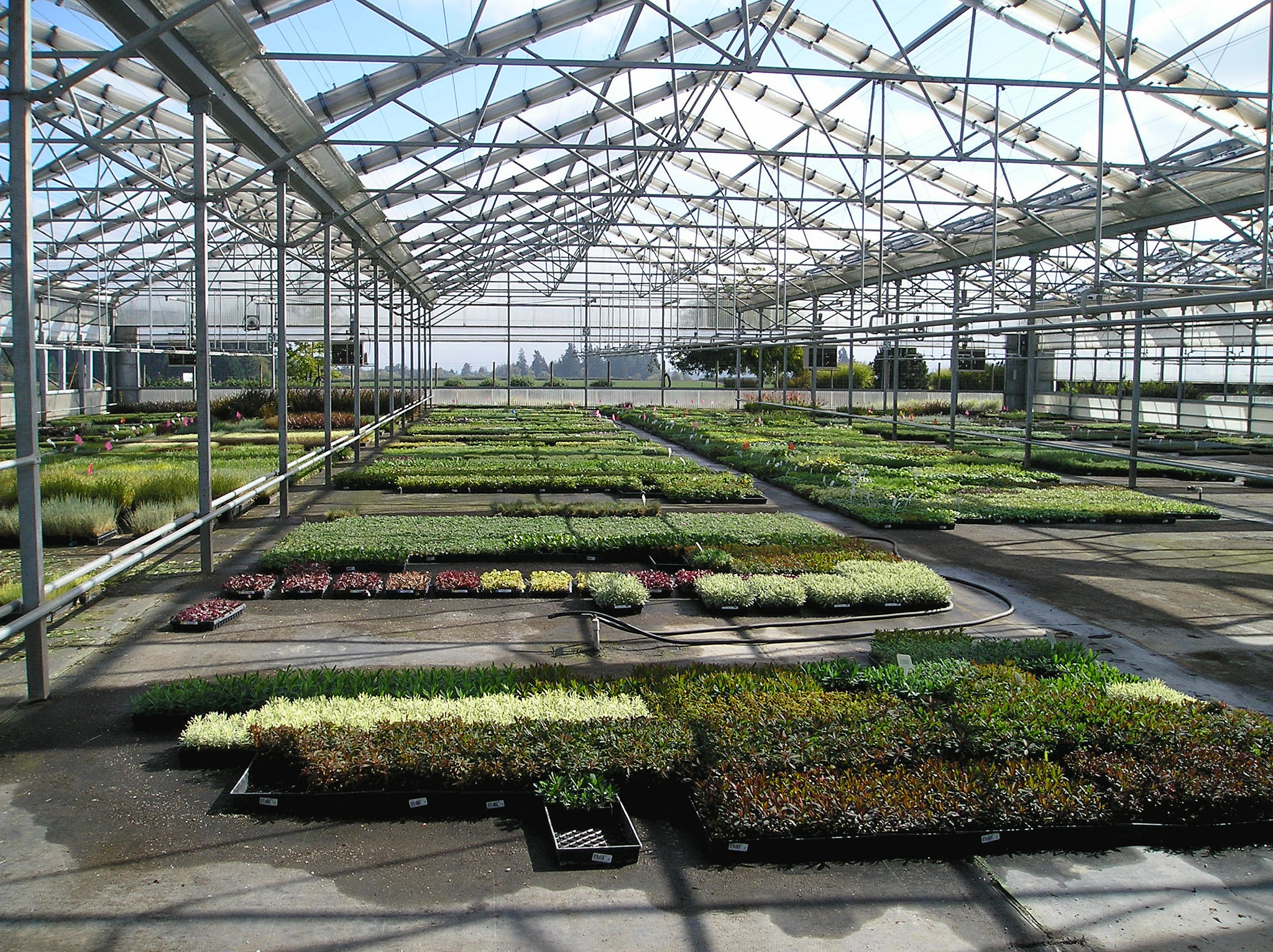 The Other Greenhouse Effect: Examining Energy Usage in Greenhouses