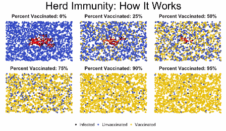 This Short Animation Takes 6 Seconds to Show How Herd Immunity Works
