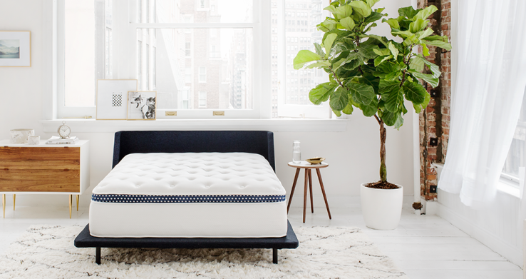 How This Unprecedented Innovation is Revolutionizing the Mattress Industry