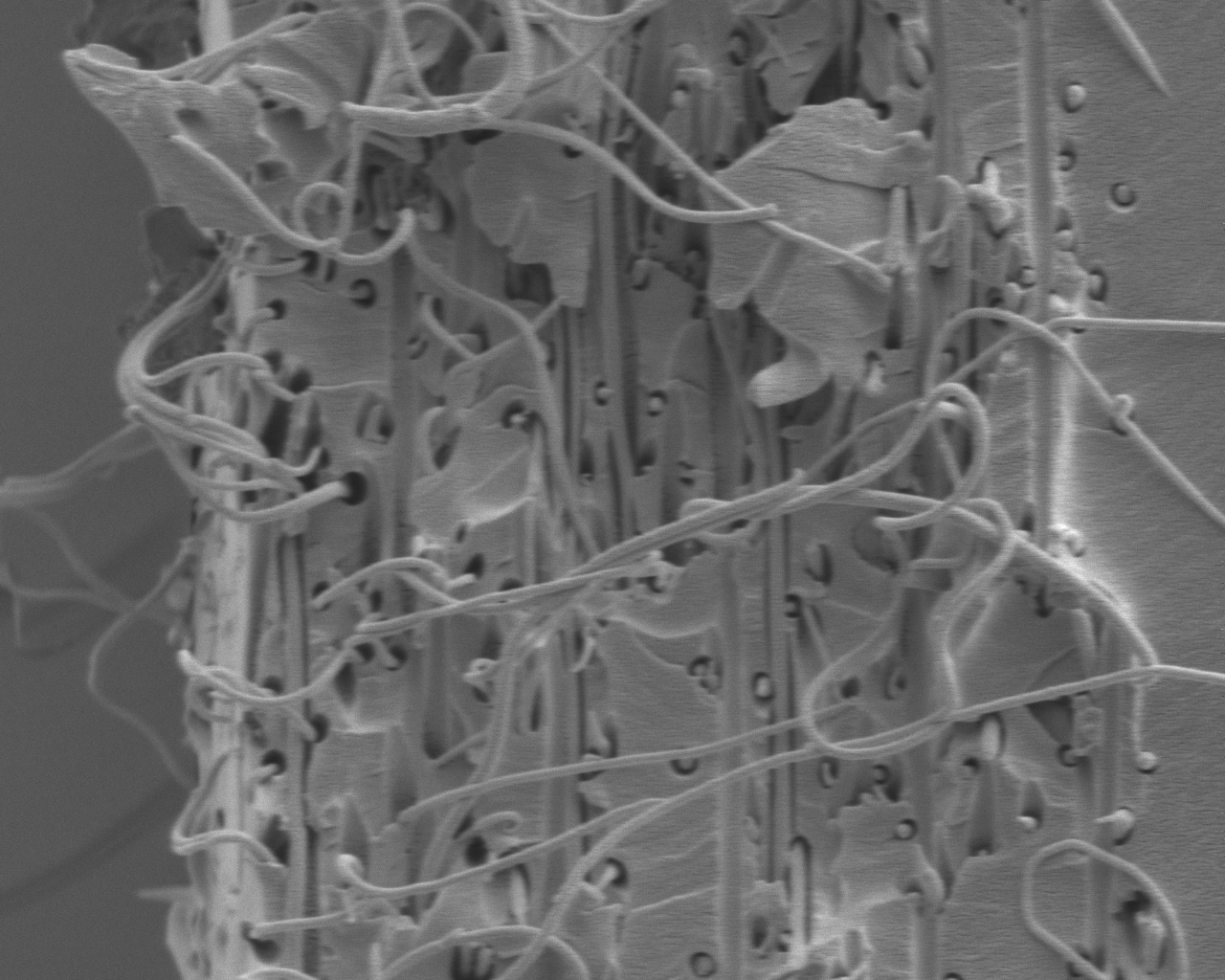 Bioengineered Nanomaterials Diagnose, Treat Nasty New Diseases