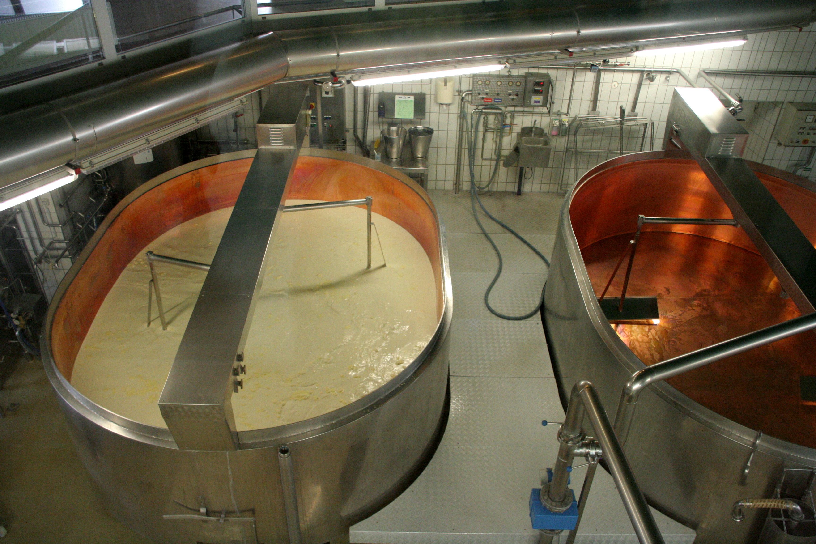 4 Factors Driving Change in Food Manufacturing