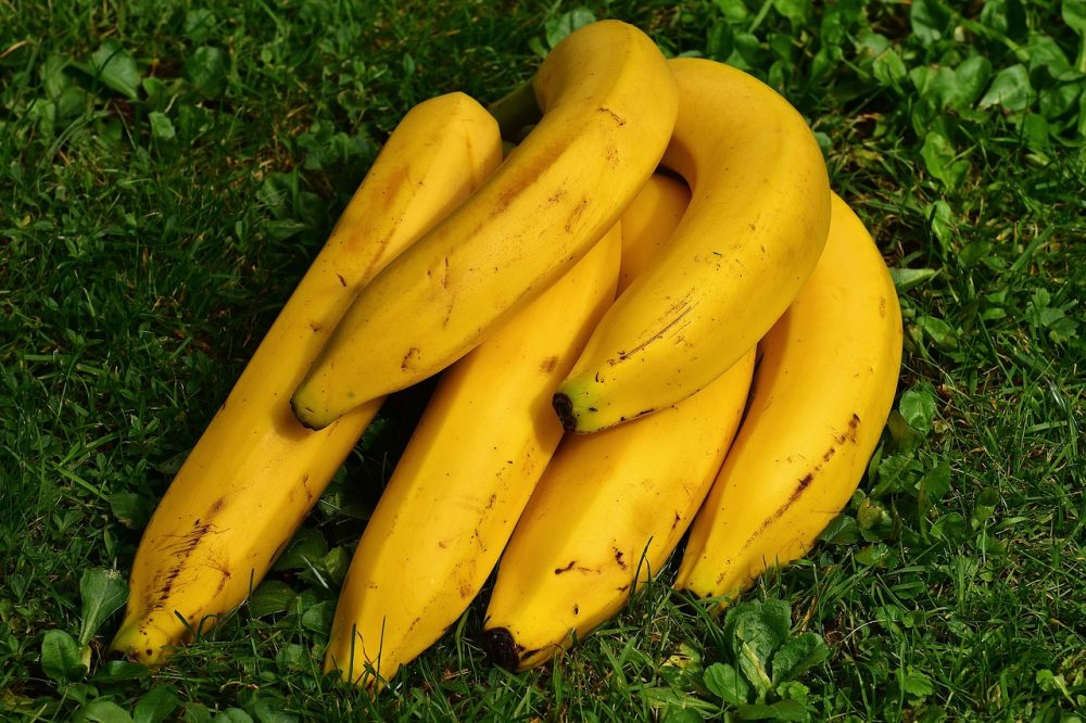 Golden Bananas Save Lives of Children in Africa
