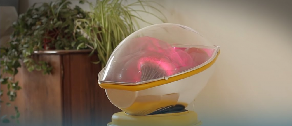 This Incubator Grows Babies Outside the Womb