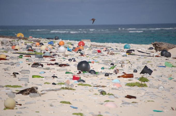 EU Declares Its Strategy to Eliminate Single-Use Plastics