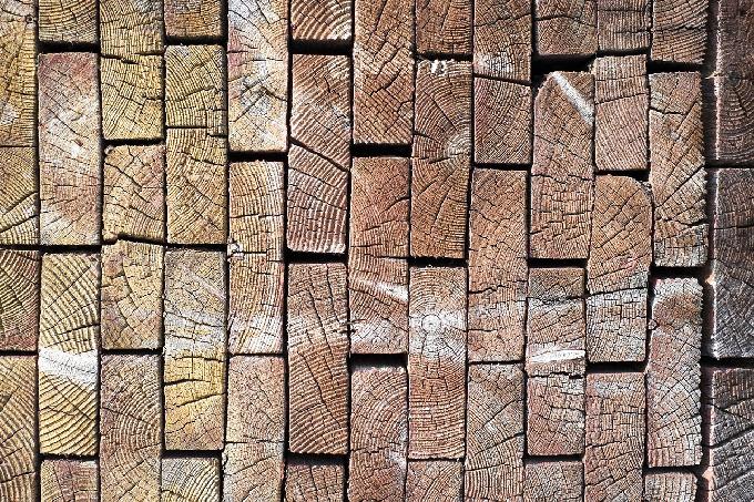 Scientists Create Super Wood Strong as Steel