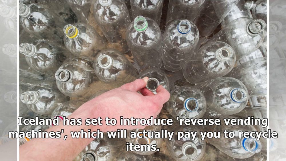 Reverse Vending Machine Pays You to Recycle