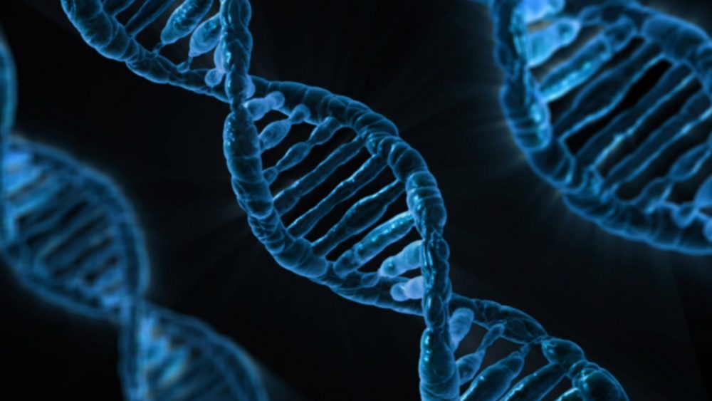 The Human Genome Is Finally Fully Sequenced