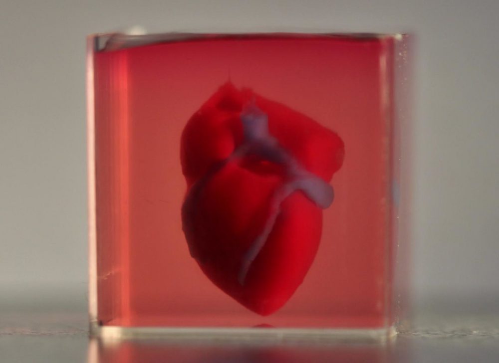 Israeli Scientists Print ‘World’s First 3D Printed Heart Using Human Tissue’