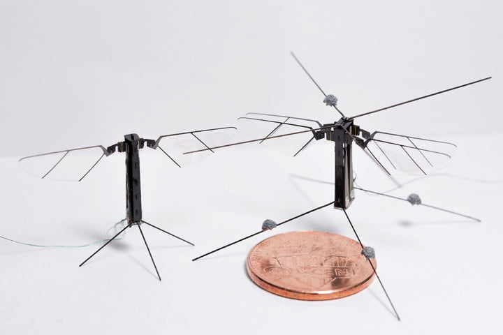 Tiny Spy: This Robotic Bee Is Smaller Than a Penny