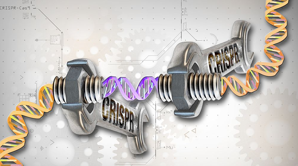 Five Couples Long For CRISPR Babies to Avoid Deafness