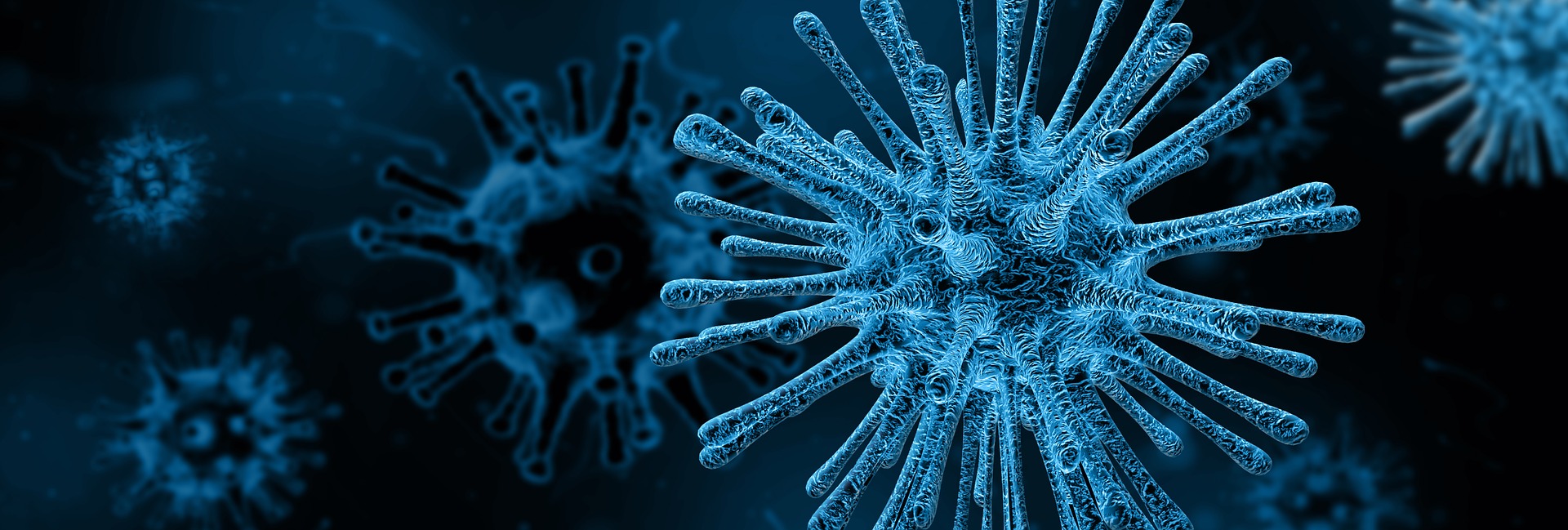 An AI tool Anticipated the Coronavirus Spread since December