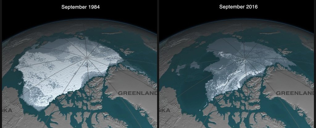 Sea Ice Will Be Completely Gone in Arctic Summers by 2050