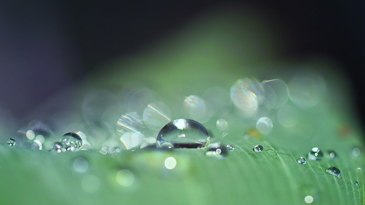 Microplastics are now Falling in Virgin Ecosystems Through Rain
