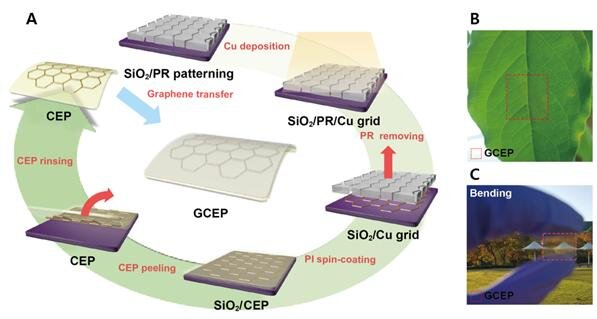 Electrode Platform with Graphene Layer Highly Enhanced the Performance of Perovskite Solar Cells