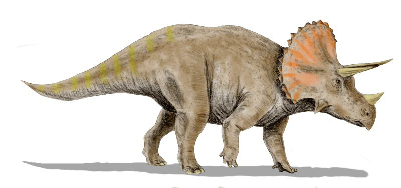 Researchers Discovered Dinosaurs Suffered From Malignant Cancer Too